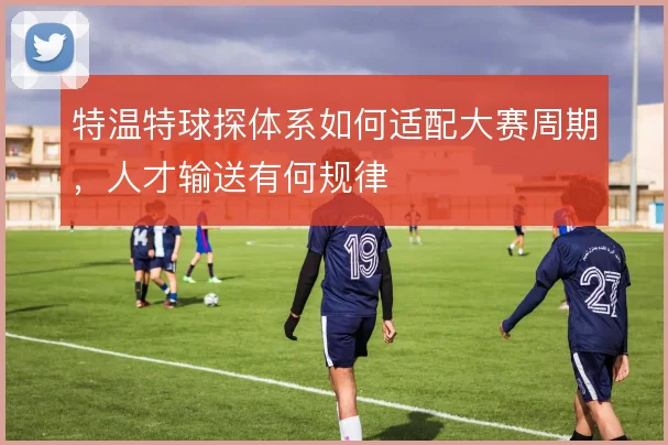 特温特球探体系如何适配大赛周期，人才输送有何规律