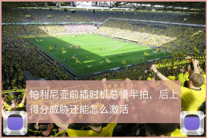 帕利尼亚前插时机总慢半拍，后上得分威胁还能怎么激活