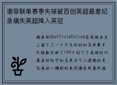 谢菲联单赛季失球破百创英超最差纪录痛失英超降入英冠